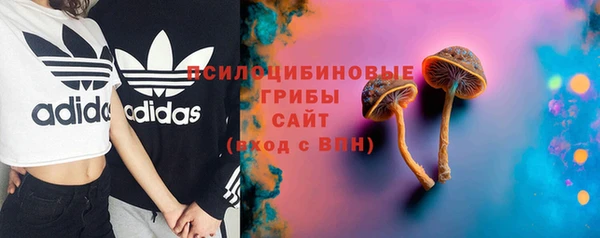 COCAINE Краснослободск